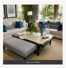 画像をギャラリービューアに読み込む, 首振りホームカメラ C6W